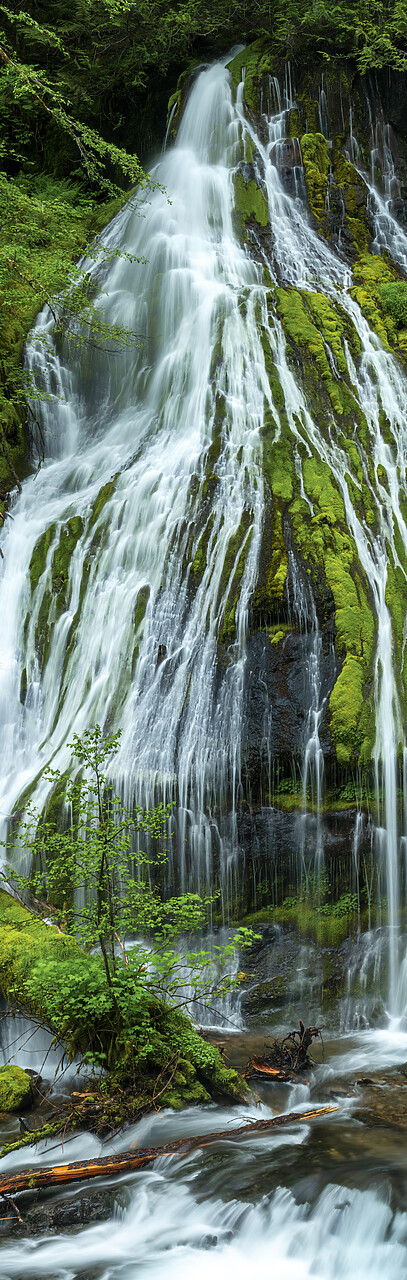 #240269-1 - Panther Creek Falls, Washington, USA