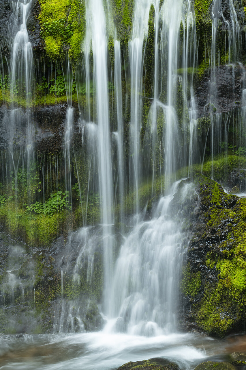 #240270-1 - Panther Creek Falls, Washington, USA