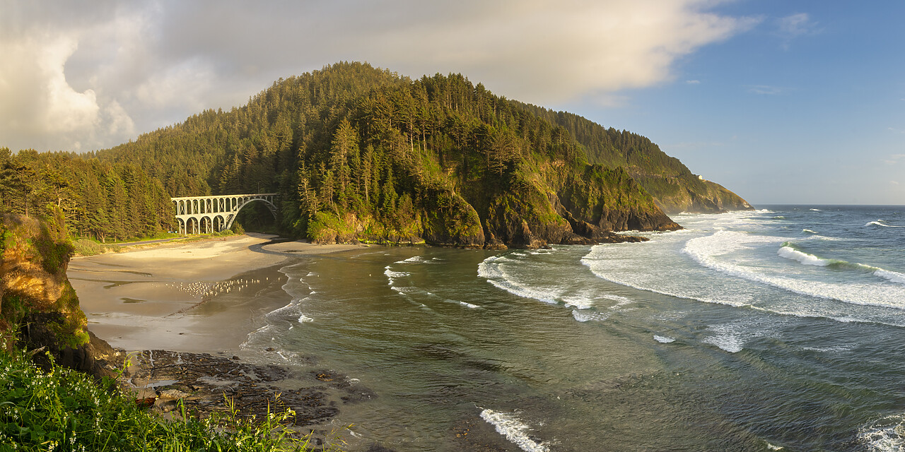 #240274-1 - Cape Cove at Haceta Head, Oregon, USA