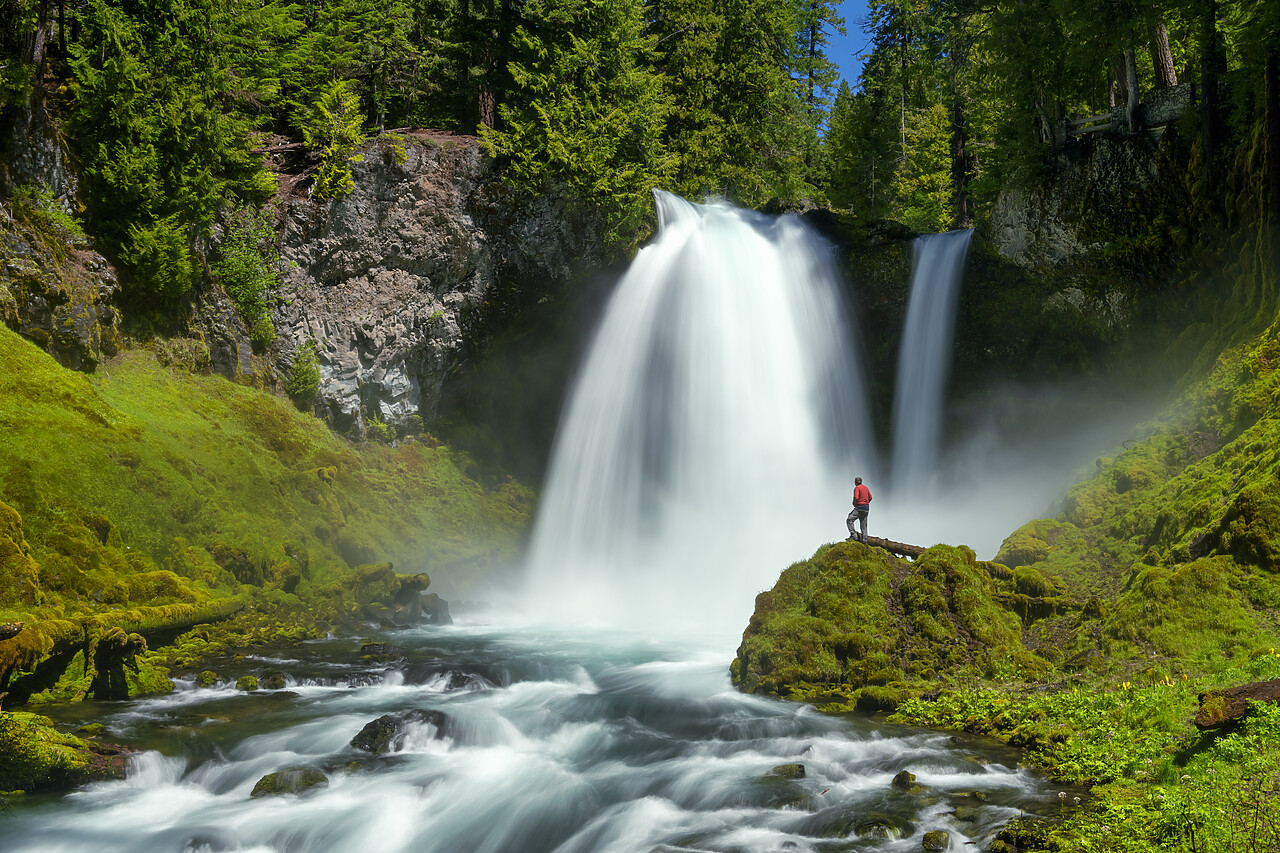 #240277-1 - Person Looking at Sahalie Falls, Willamette National Forest, Oregon, USA