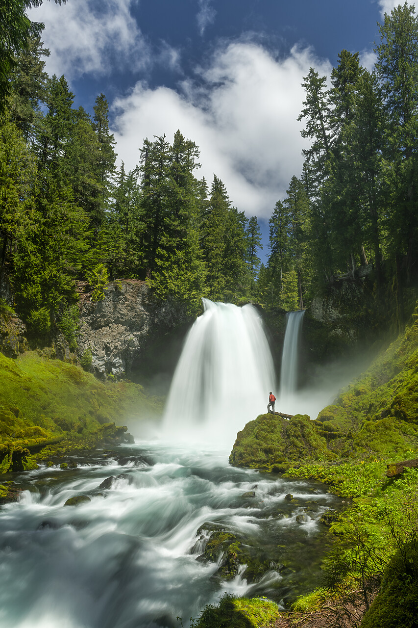 #240277-2 - Person Looking at Sahalie Falls, Willamette National Forest, Oregon, USA