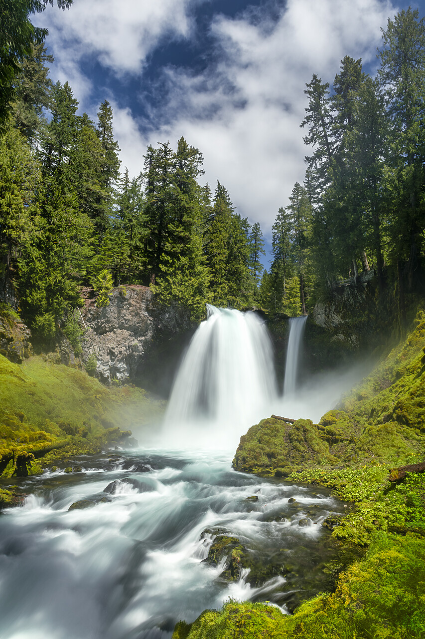 #240278-1 - Sahalie Falls, Willamette National Forest, Oregon, USA