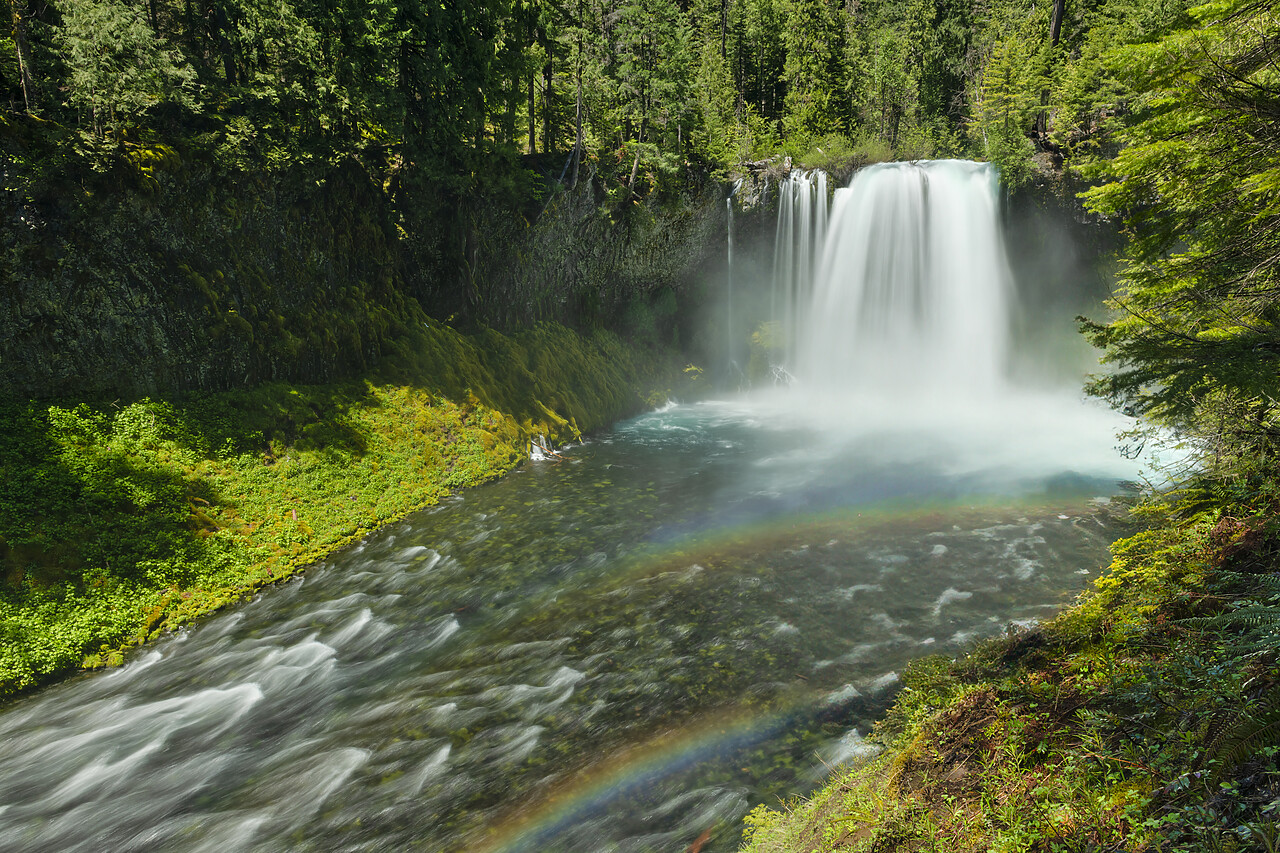 #240279-1 - Double Rainbow Below Koosah Falls, Willamette National Forest, Oregon, USA