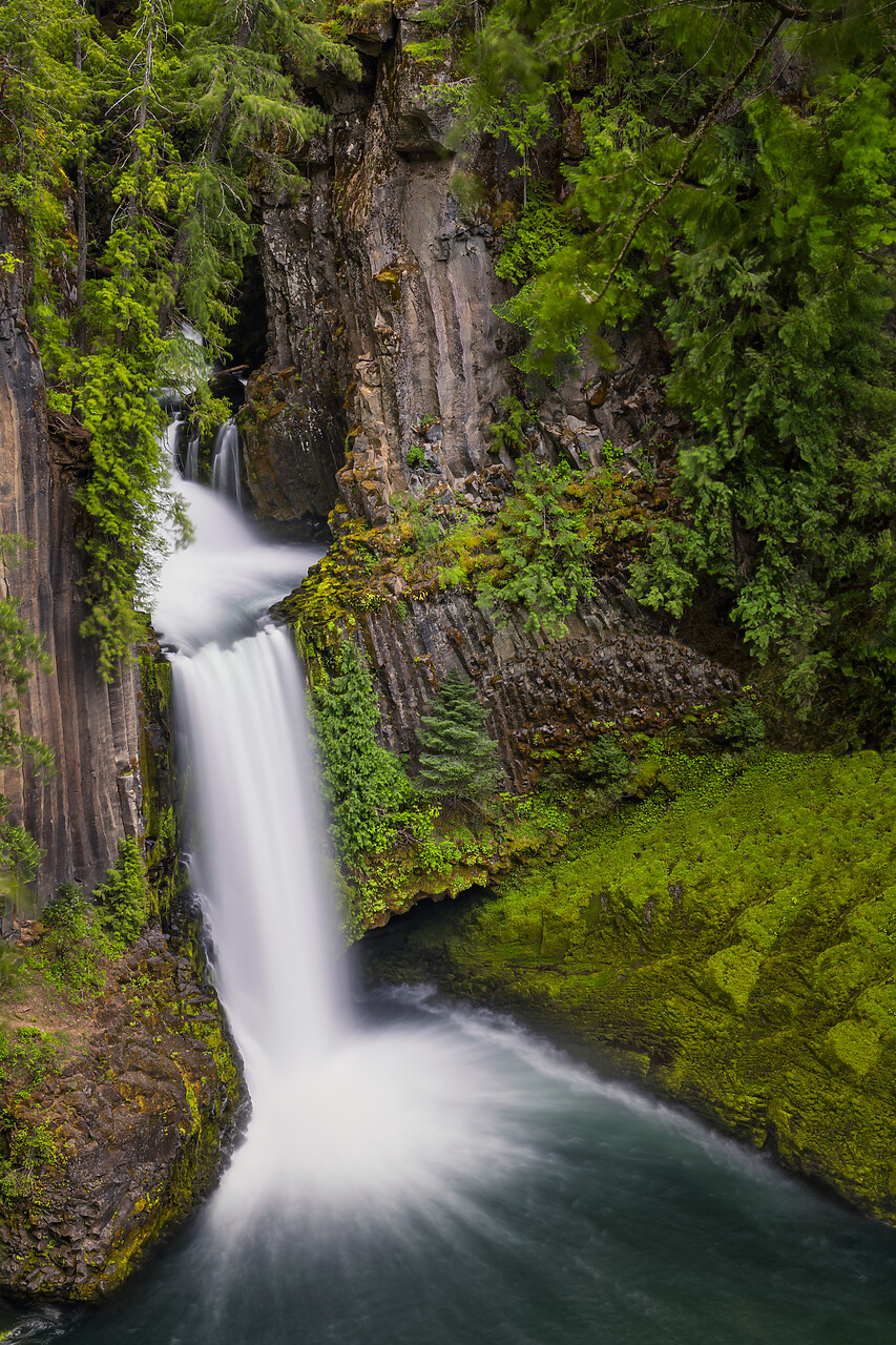 #240289-1 - Toketee Falls, Douglas County, Oregon, USA