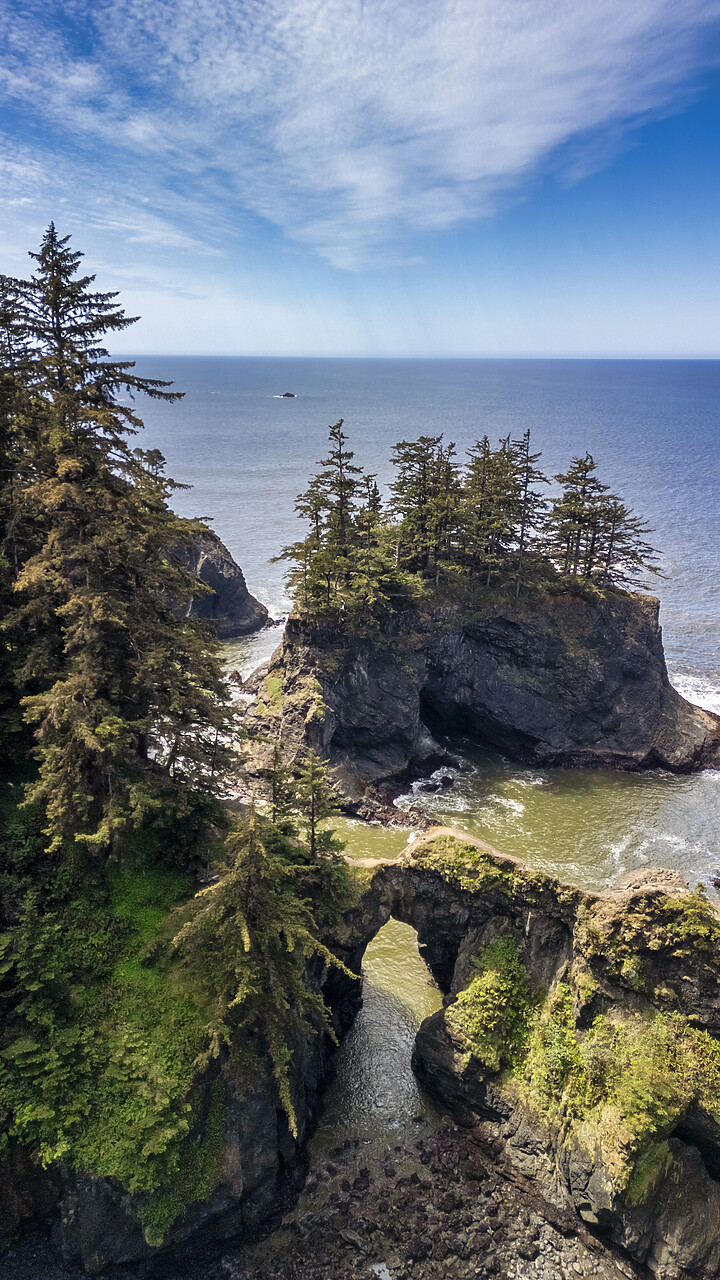 #240298-1 - Natural Bridges, Samual H. Boardman Corridor, Brookings, Oregon, USA