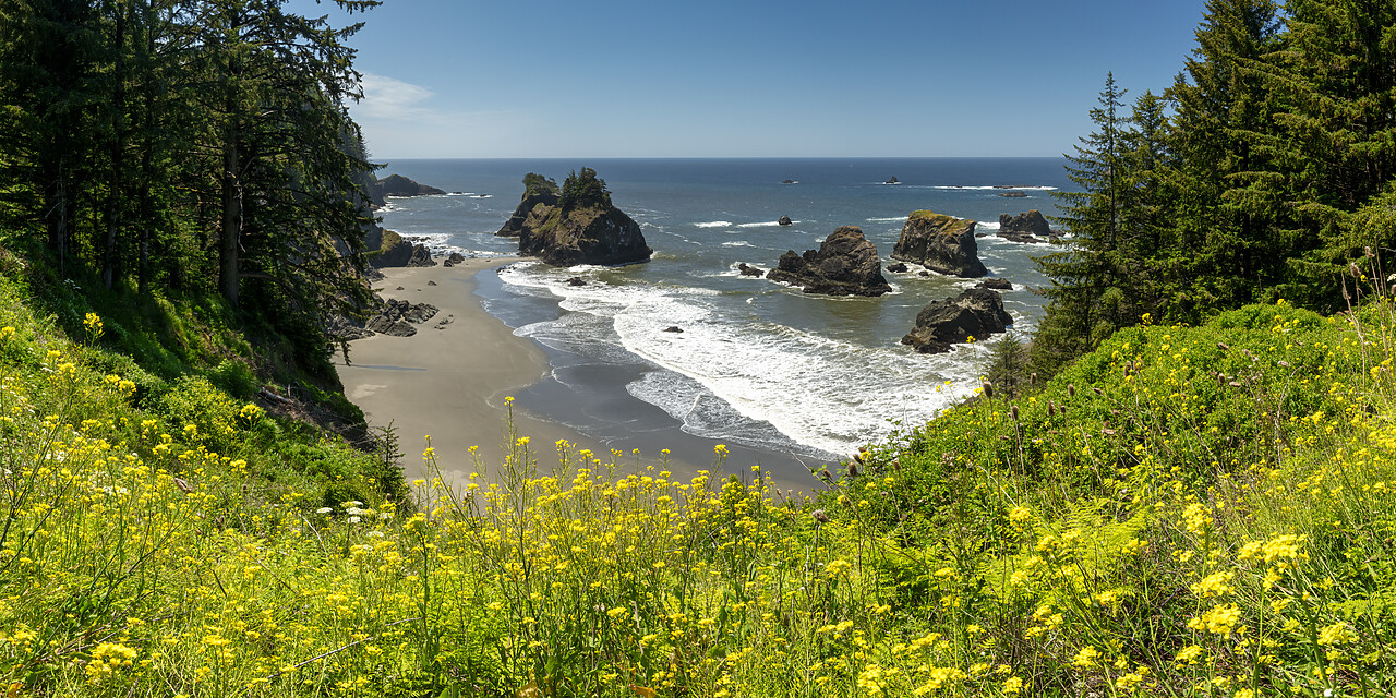 #240299-1 - Arch Rock State Park, Samual H. Boardman Corridor, Oregon, USA