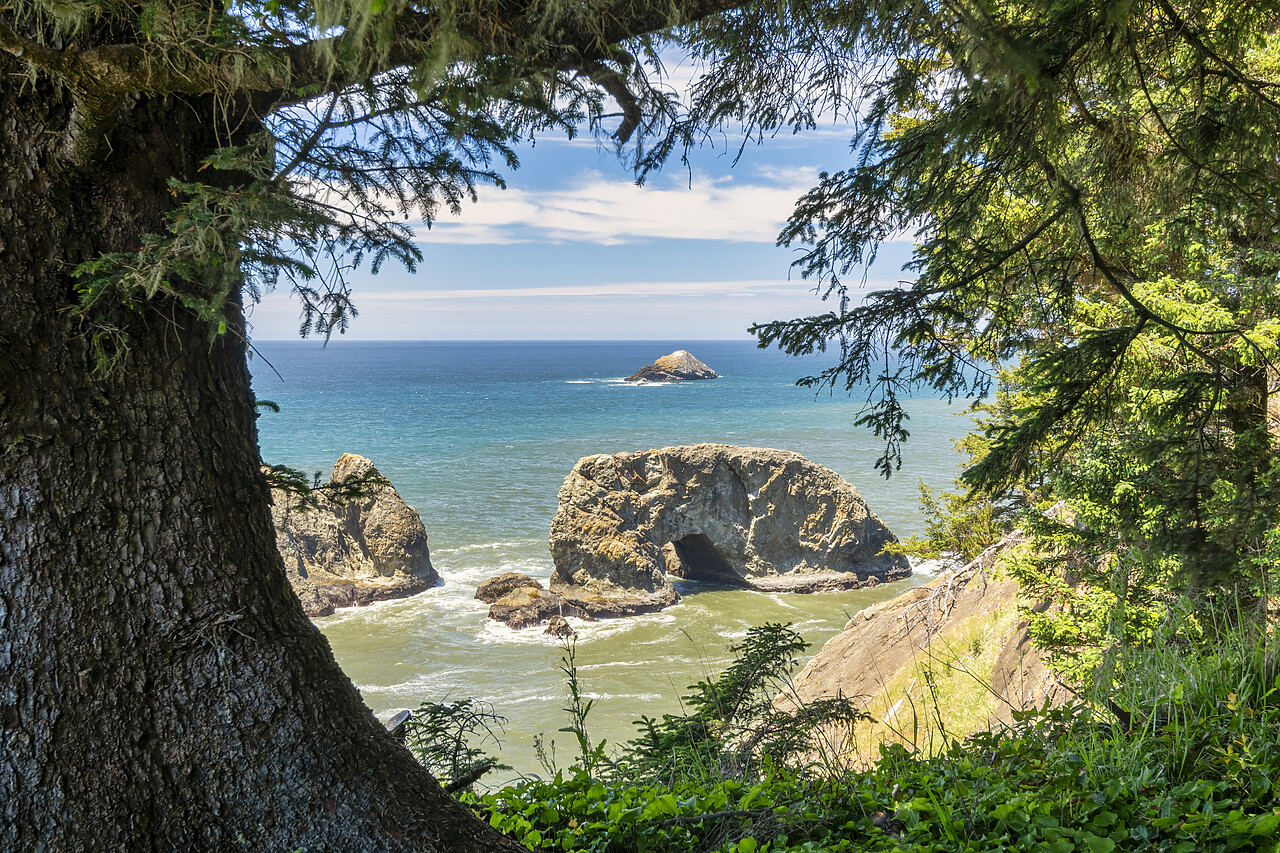 #240300-1 - Arch Rock State Park, Samual H. Boardman Corridor, Oregon, USA