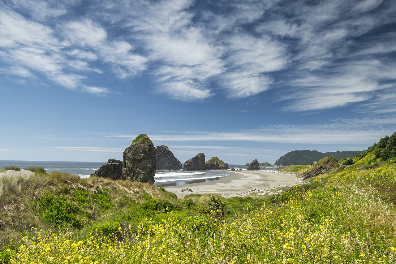 #240301-1 - Sea Stacks along Myers Creek Beach, Oregon, USA