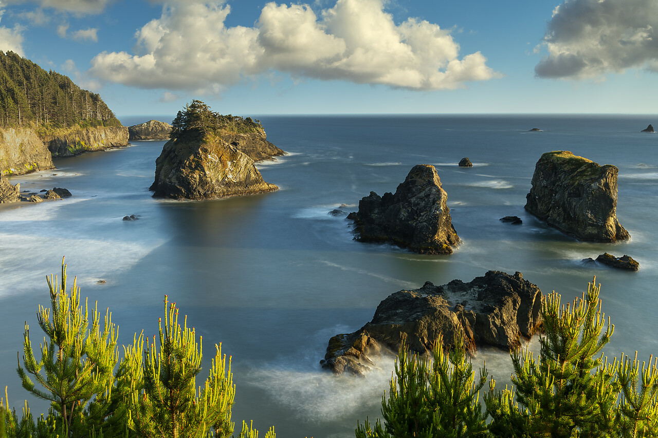 #240305-1 - Arch Rock State Park, Samual H. Boardman Corridor, Oregon, USA