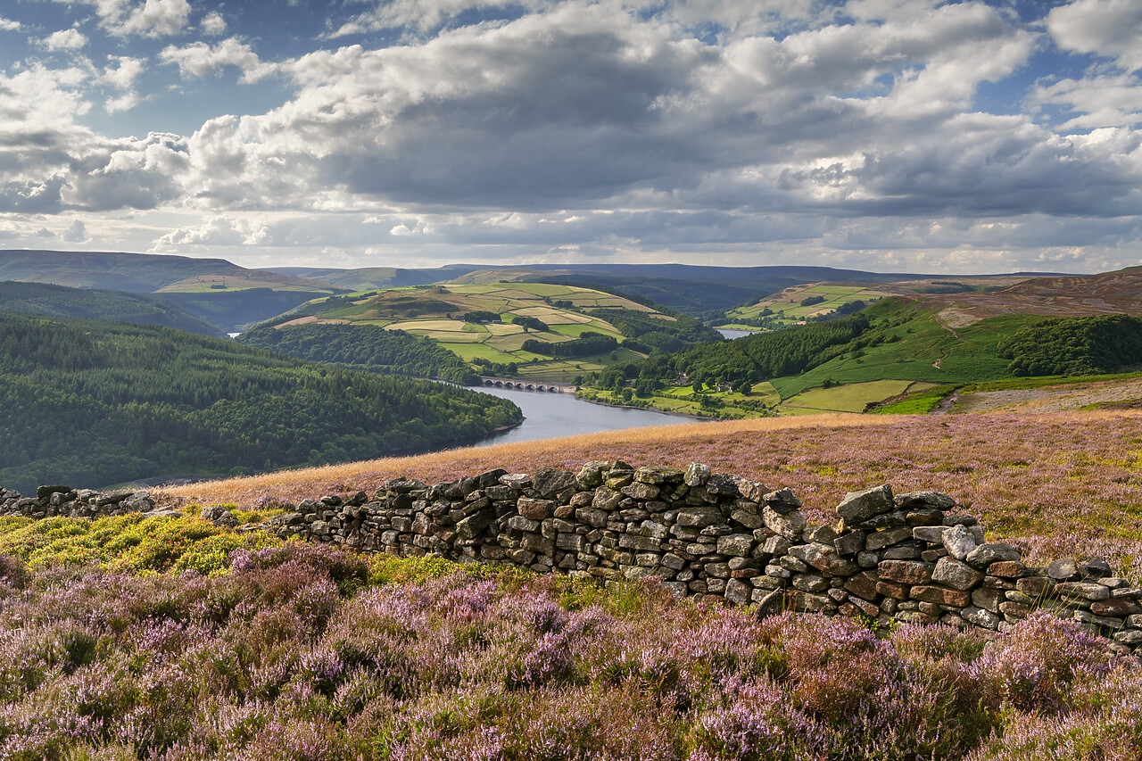 #240320-1 - Bamford Edge Overlooking Ladybower Reservoir, Peak District National Park, Derbyshire, England