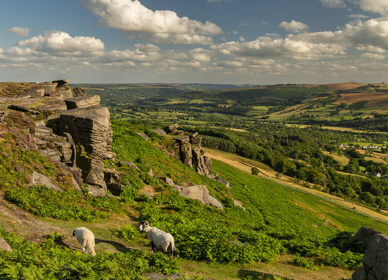 #240321-1 - Bamford Edge, Peak District National Park, Derbyshire, England