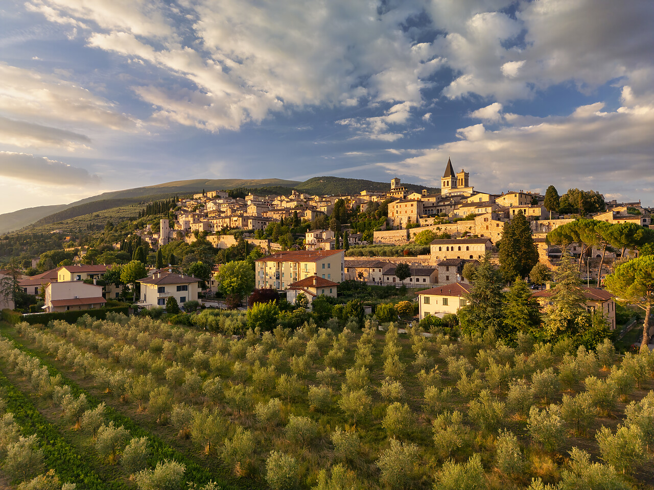 #240357-1 - View Over Spello, Umbria, Italy