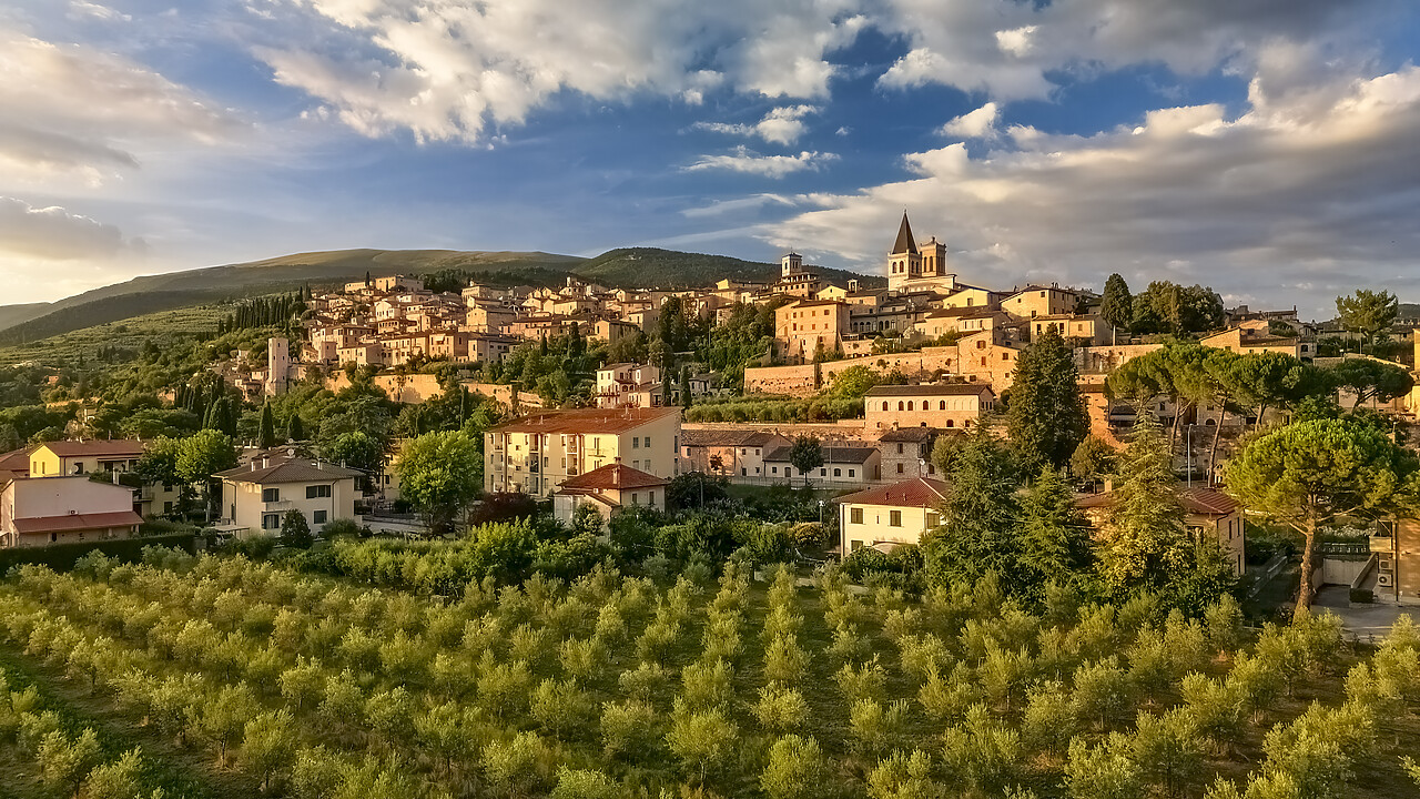 #240357-2 - View Over Spello, Umbria, Italy