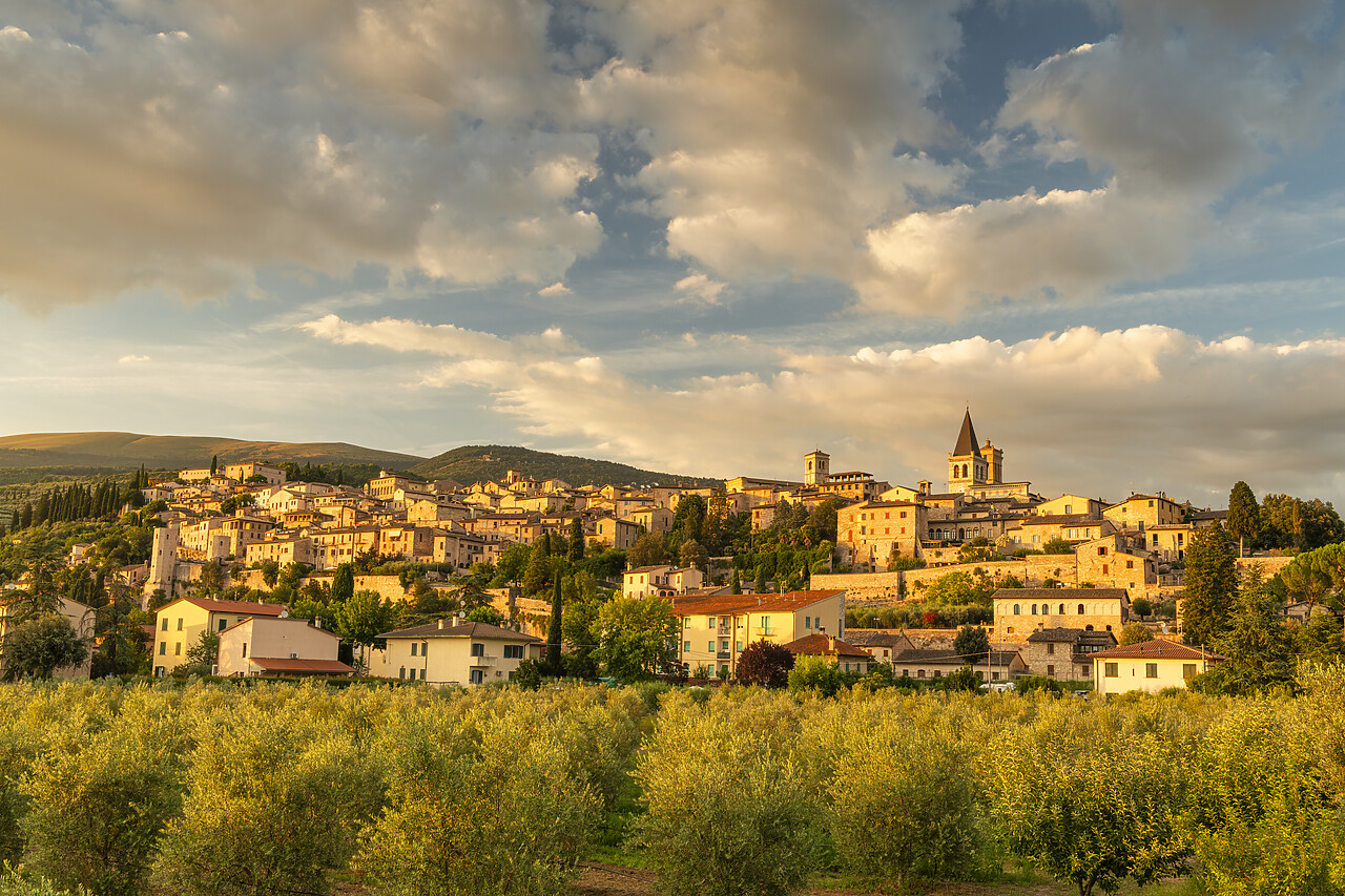 #240368-1 - Evening Light on Spello, Umbria, Italy