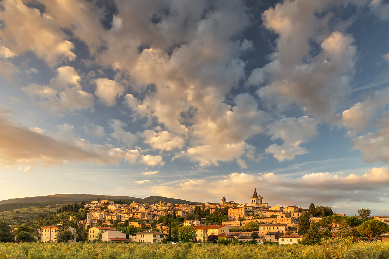 #240369-1 - Spello, Umbria, Italy