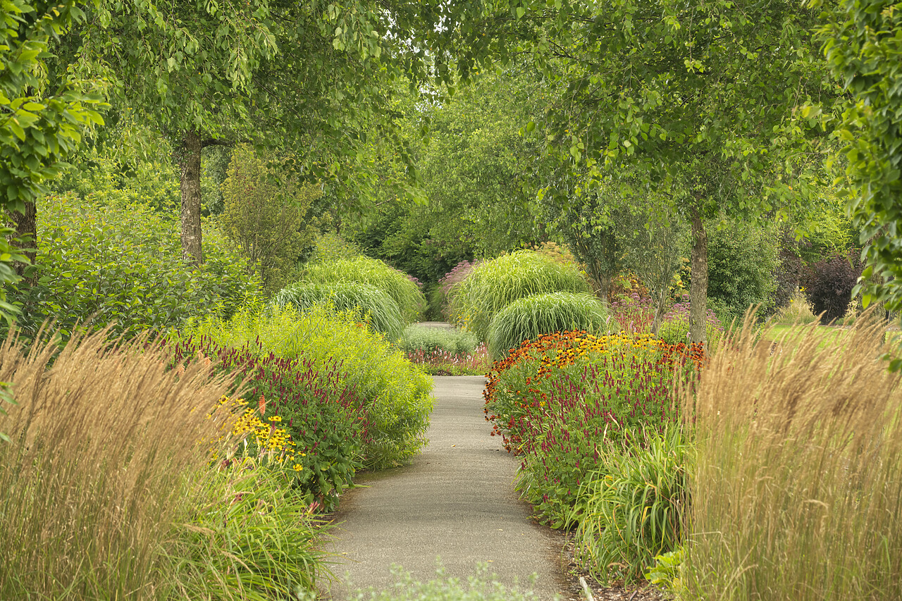 #240410-1 - Breezy Knees Gardens, Warthill, York, Yorkshire, England