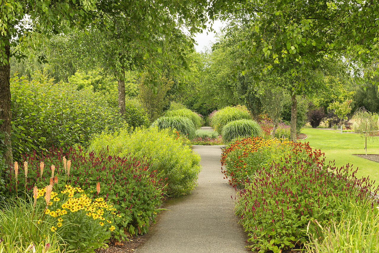 #240411-1 - Path Through Breezy Knees Gardens, Warthill, York, Yorkshire, England