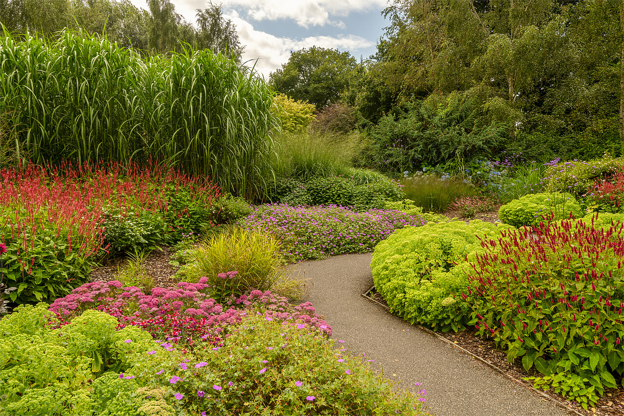 #240413-1 - Path Through Breezy Knees Gardens, Warthill, York, Yorkshire, England