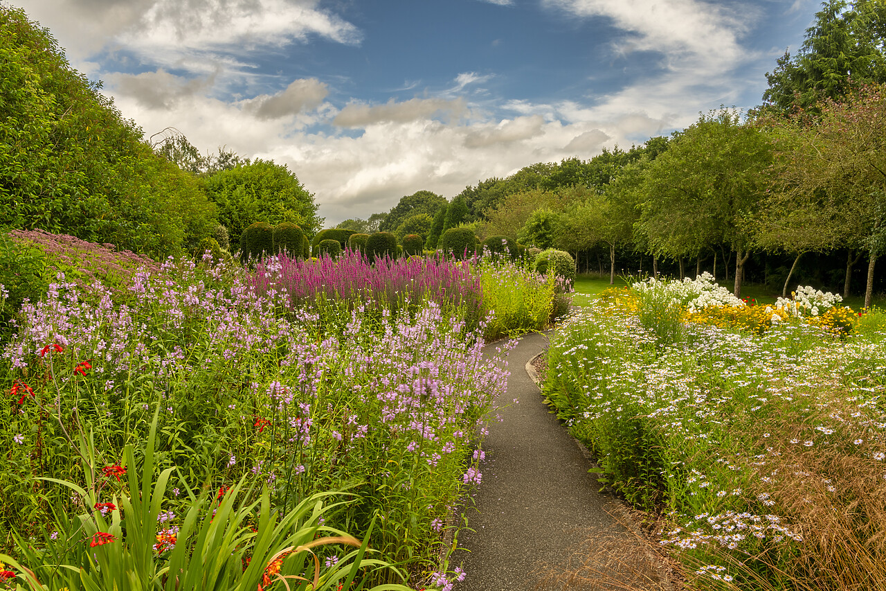 #240416-1 - Breezy Knees Gardens, Warthill, York, Yorkshire, England