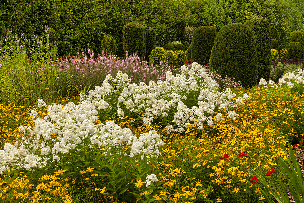 #240418-1 - Breezy Knees Gardens, Warthill, York, Yorkshire, England