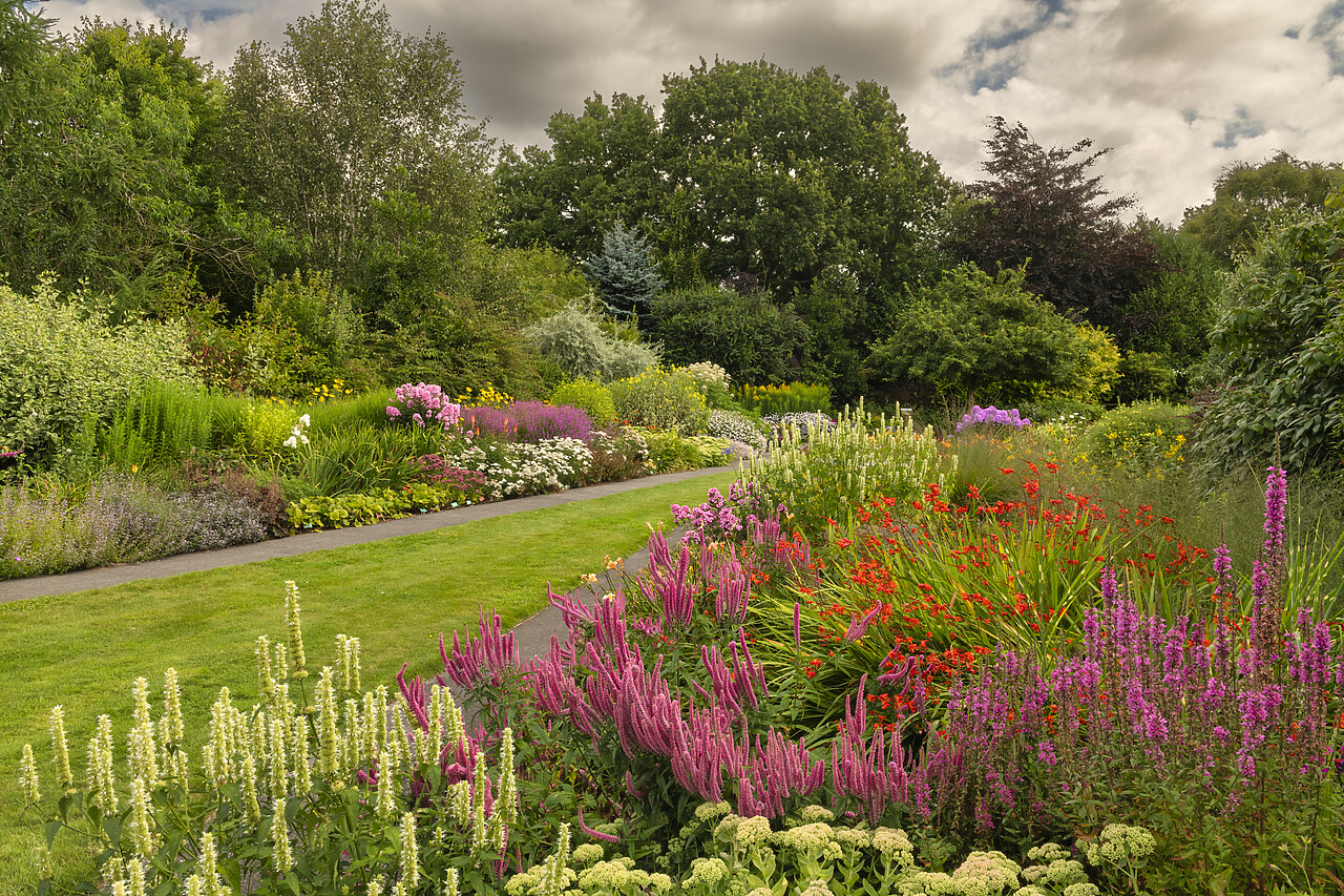 #240419-1 - Breezy Knees Gardens, Warthill, York, Yorkshire, England