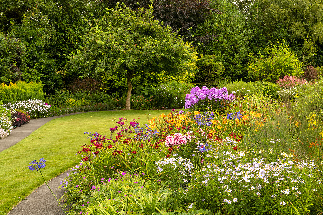 #240420-1 - Breezy Knees Gardens, Warthill, York, Yorkshire, England