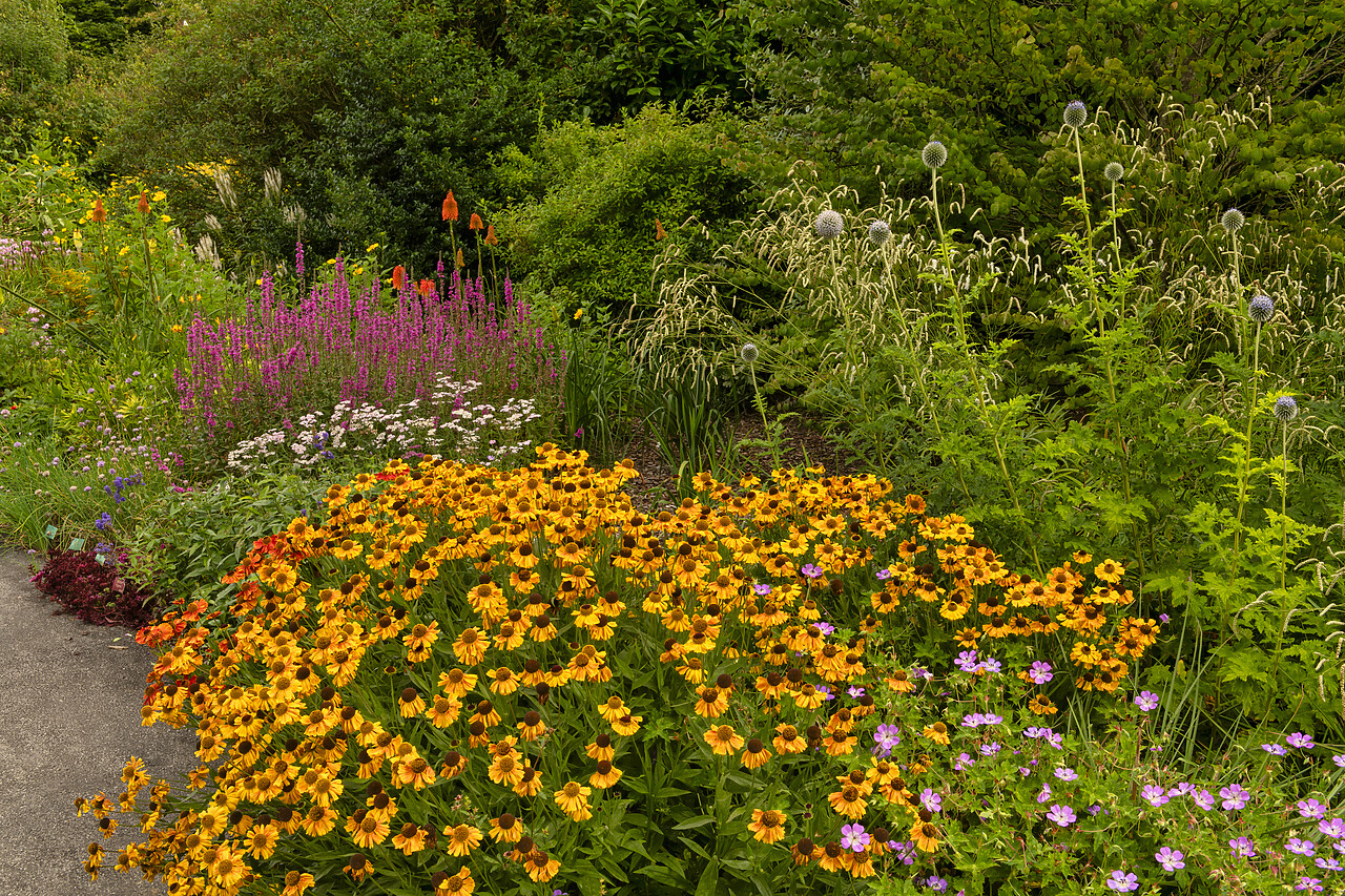 #240423-1 - Breezy Knees Gardens, Warthill, York, Yorkshire, England