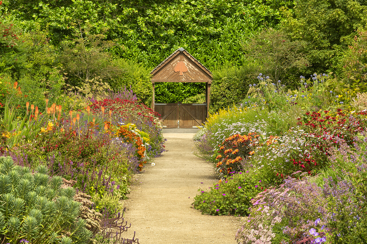 #240424-1 - Breezy Knees Gardens, Warthill, York, Yorkshire, England