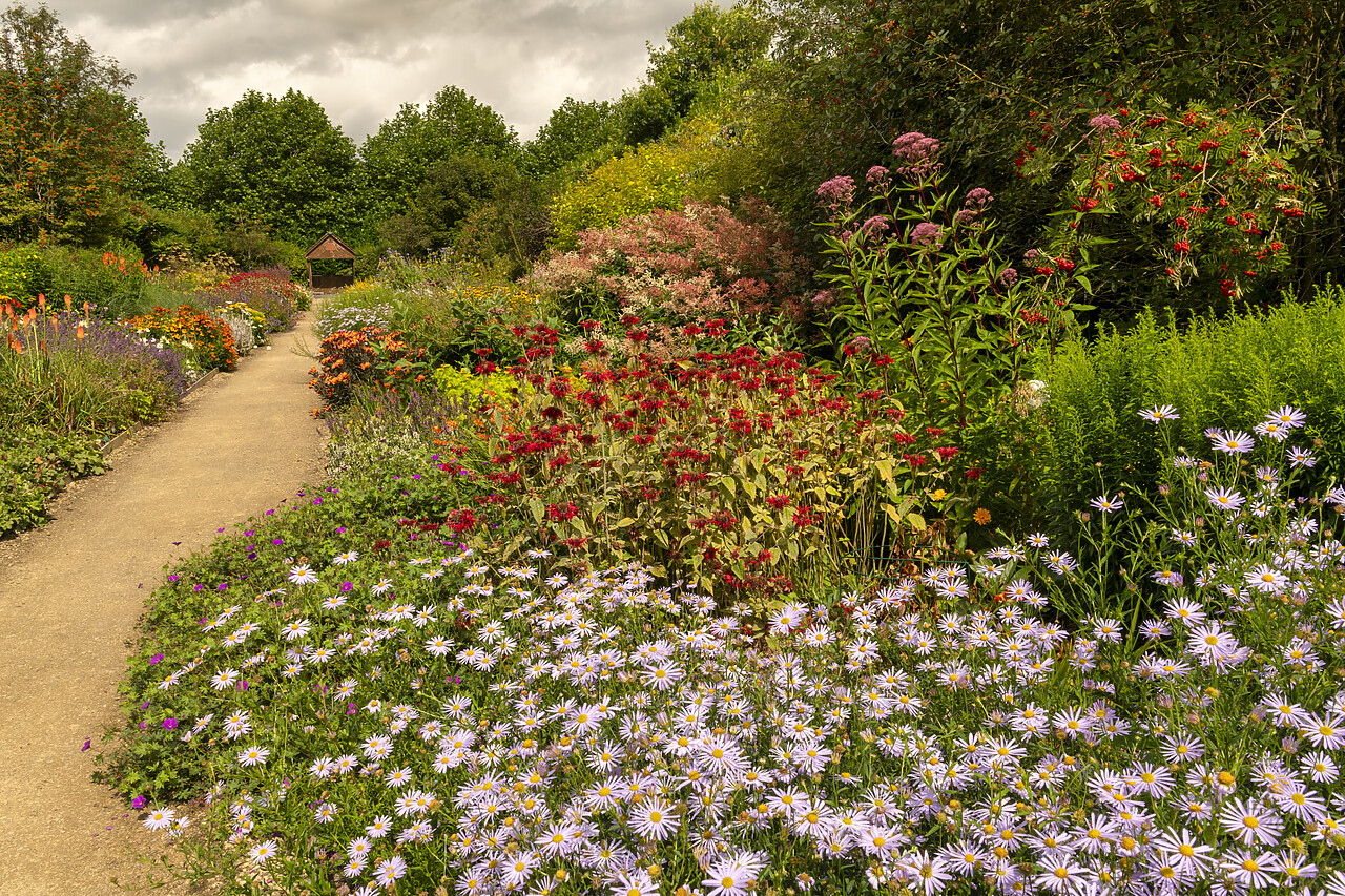 #240425-1 - Breezy Knees Gardens, Warthill, York, Yorkshire, England