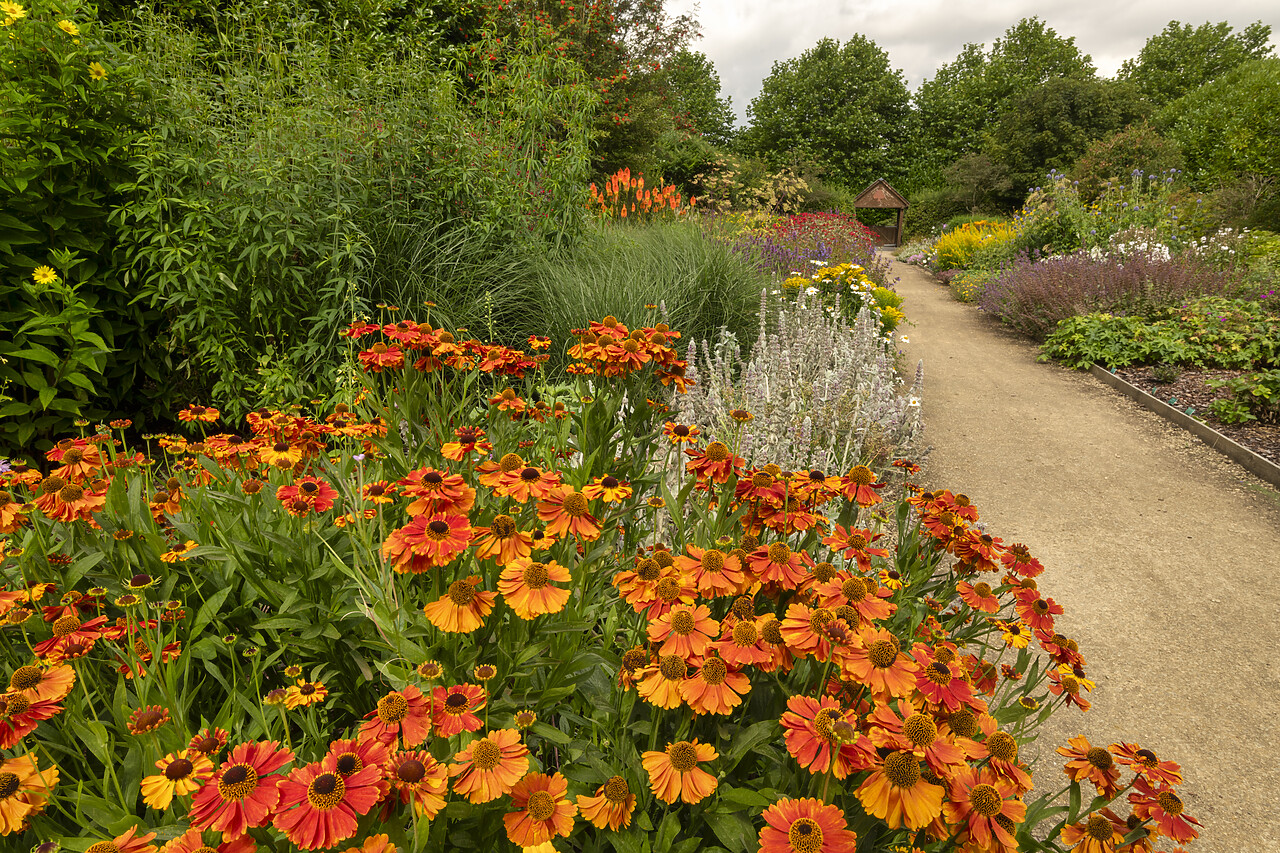 #240426-1 - Breezy Knees Gardens, Warthill, York, Yorkshire, England