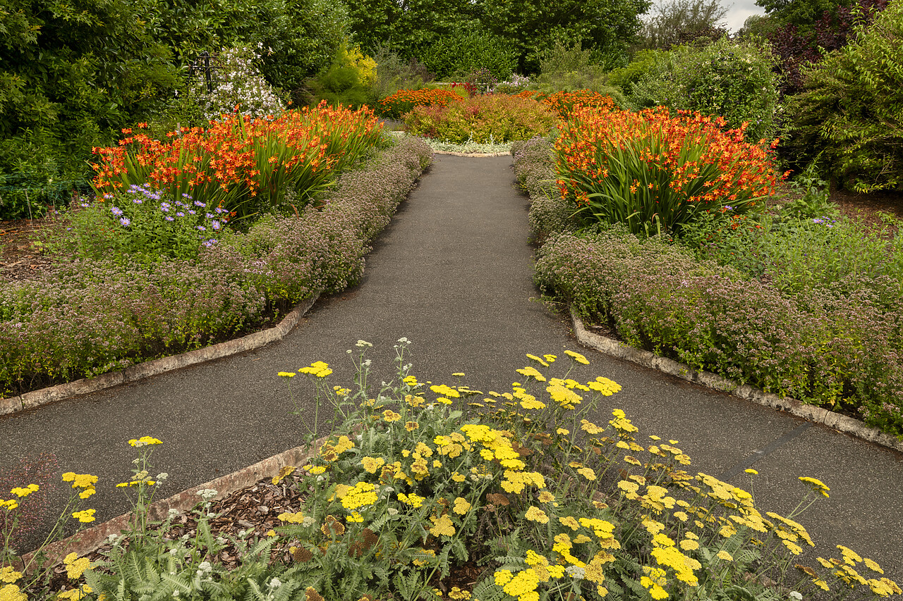 #240427-1 - Path Through Breezy Knees Gardens, Warthill, York, Yorkshire, England