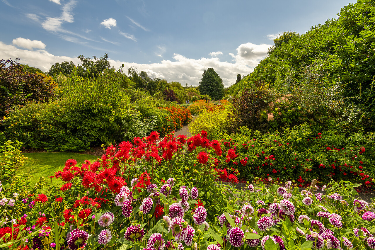 #240429-1 - Breezy Knees Gardens, Warthill, York, Yorkshire, England