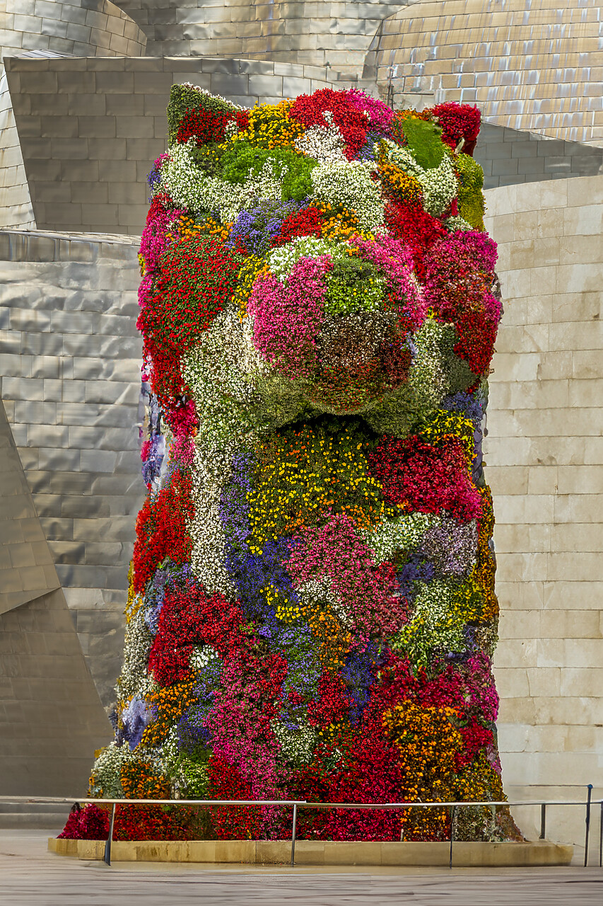 #240502-1 - Flower Sculpture Puppy by Jeff Koons, Guggenheim Museum by Architect Frank Gehry, Bilbao, Basque Country, Spain