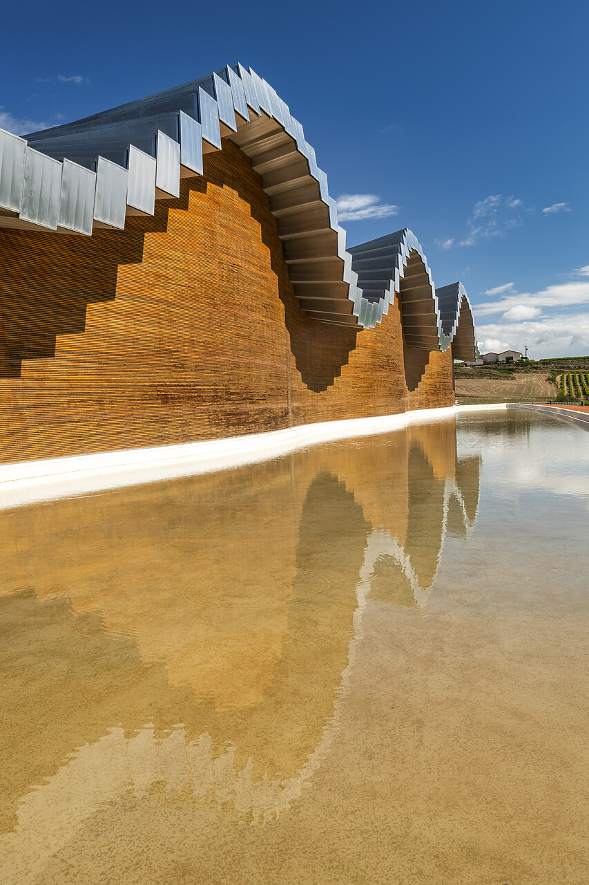 #240511-2 - Bodegas Ysios Vineyard Designed by Santiago Calatrava, Laguardia, Alava, Spain