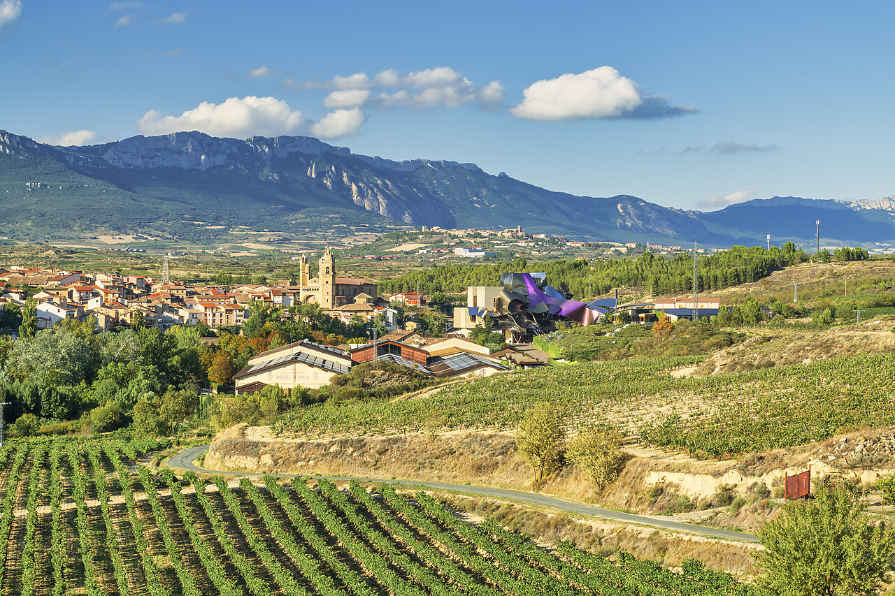 #240512-1 - Marques de Riscal Hotel & Vineyard designed by Frank Gehry, Elciego, Rioja Region, Alava Province, Spain