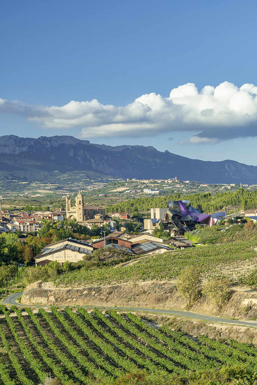 #240512-2 - Marques de Riscal Hotel & Vineyard designed by Frank Gehry, Elciego, Rioja Region, Alava Province, Spain