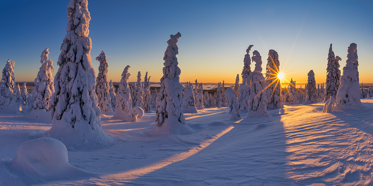 #400032-1 - Sunburst Through Snow-covered Pine Trees, Riisitunturi National Park, Posio, Lapland, Finland