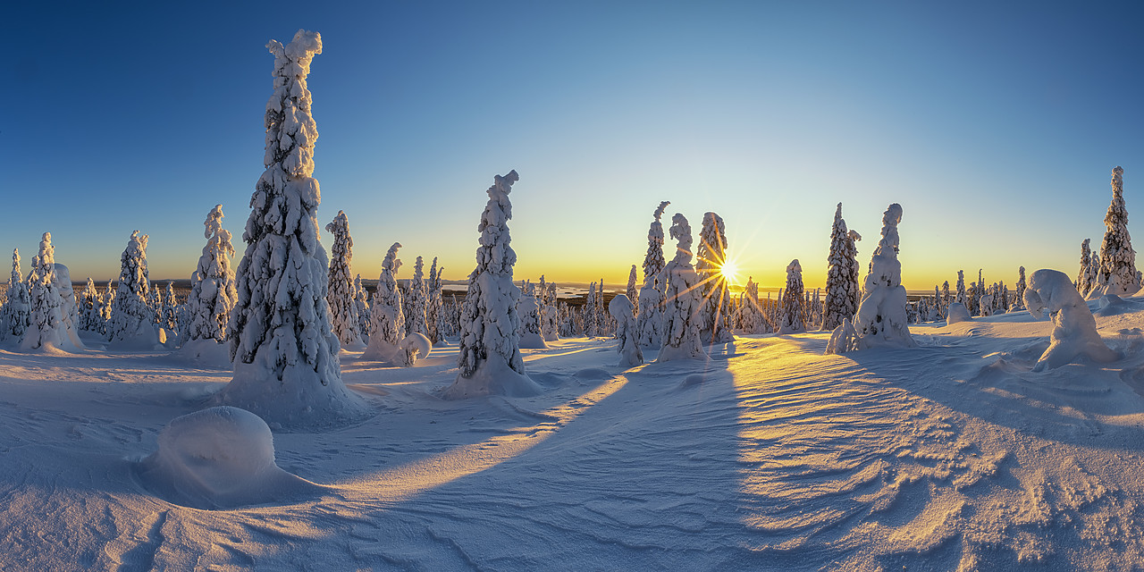 #400032-2 - Sunburst Through Snow-covered Pine Trees, Riisitunturi National Park, Posio, Lapland, Finland