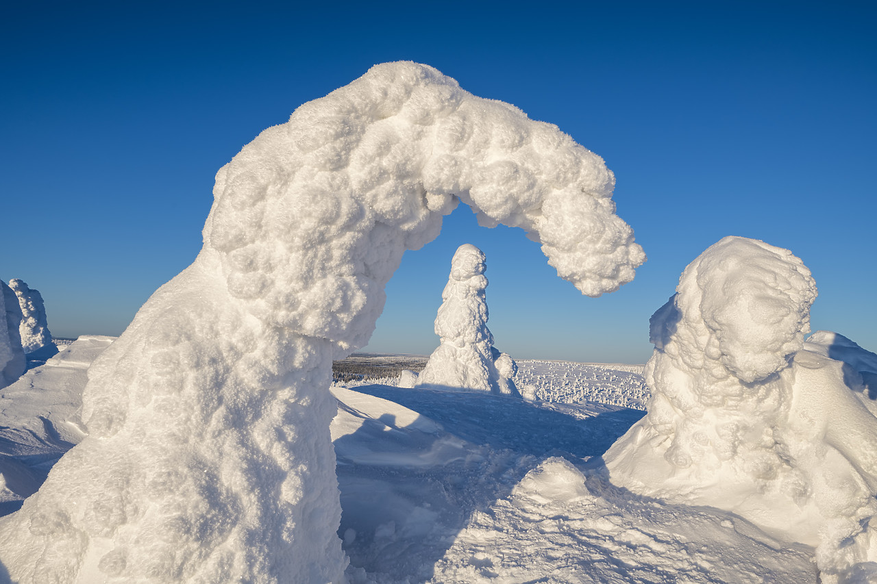 #400048-1 - Snow-covered Pine Trees, Riisitunturi National Park, Posio, Lapland, Finland