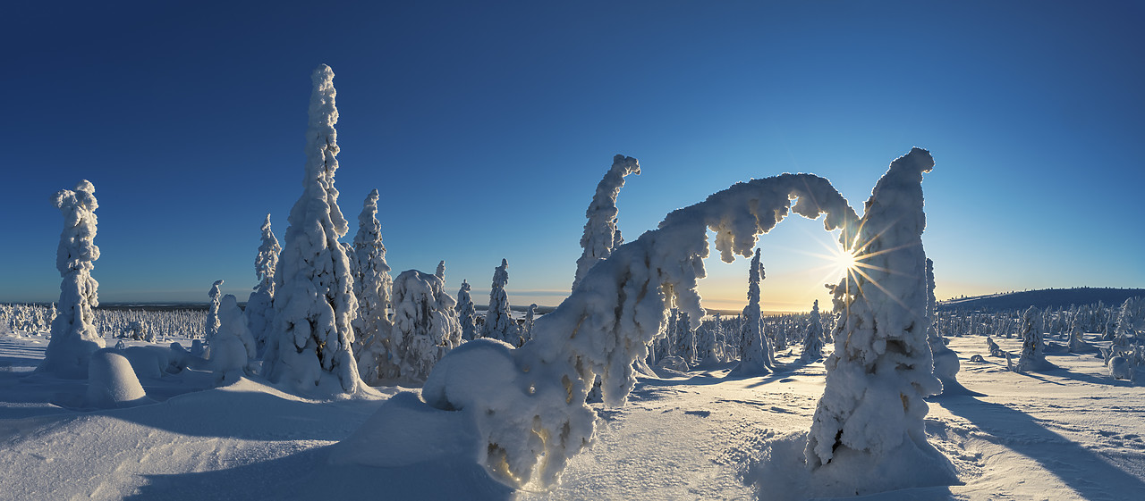 #400057-1 - Riisitunturi National Park, Posio, Lapland, Finland