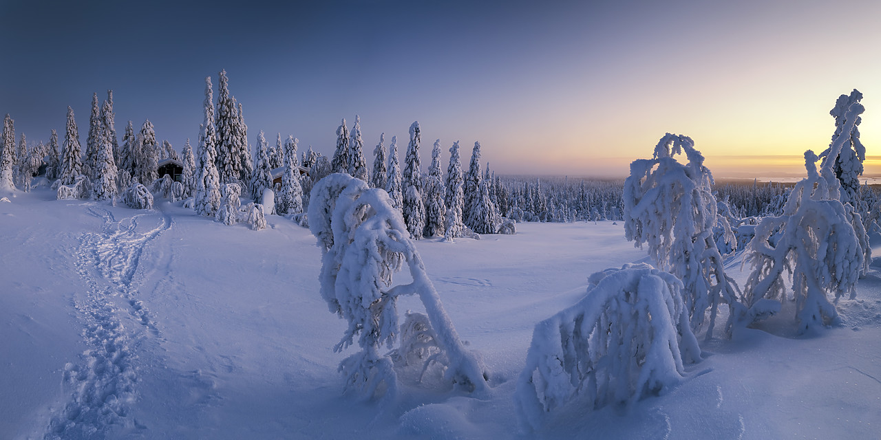 #400061-1 - Snow-covered Pine Trees, Riisitunturi National Park, Posio, Lapland, Finland