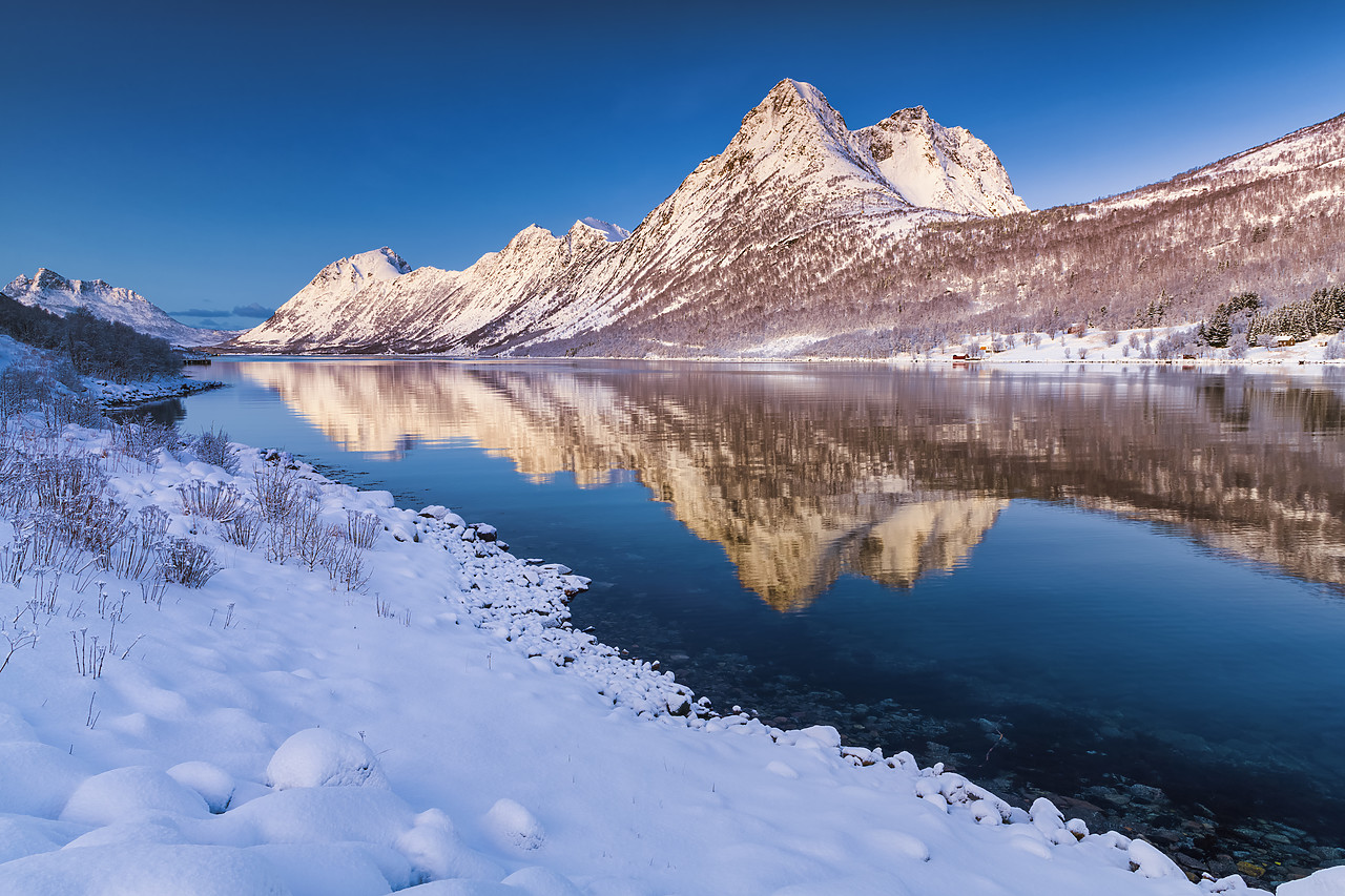 #400079-1 - Rognskartinden Reflecting in Gryllefjord, Senja, Norway