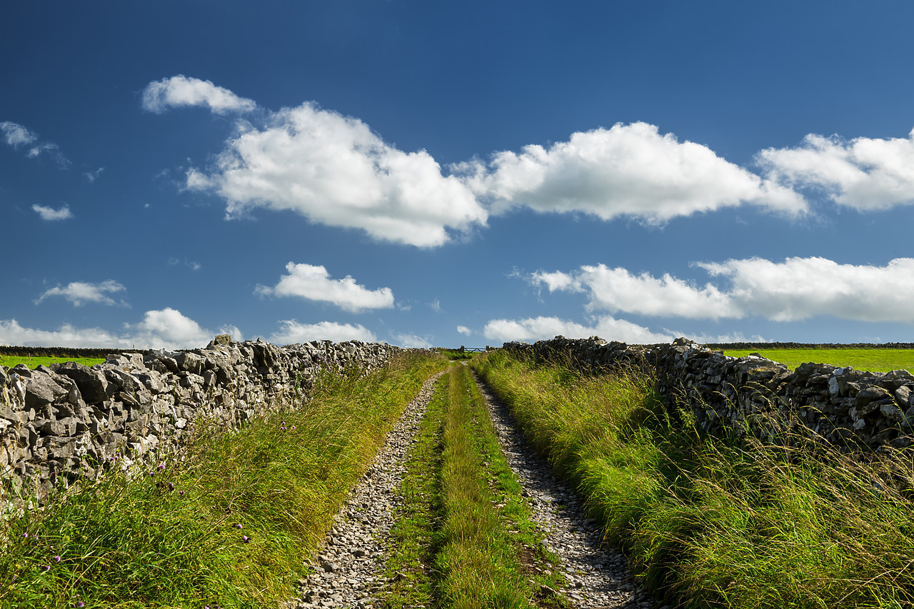 #400192-1 - Stone Walls & Track, Peak District National Park, Derbyshire, England