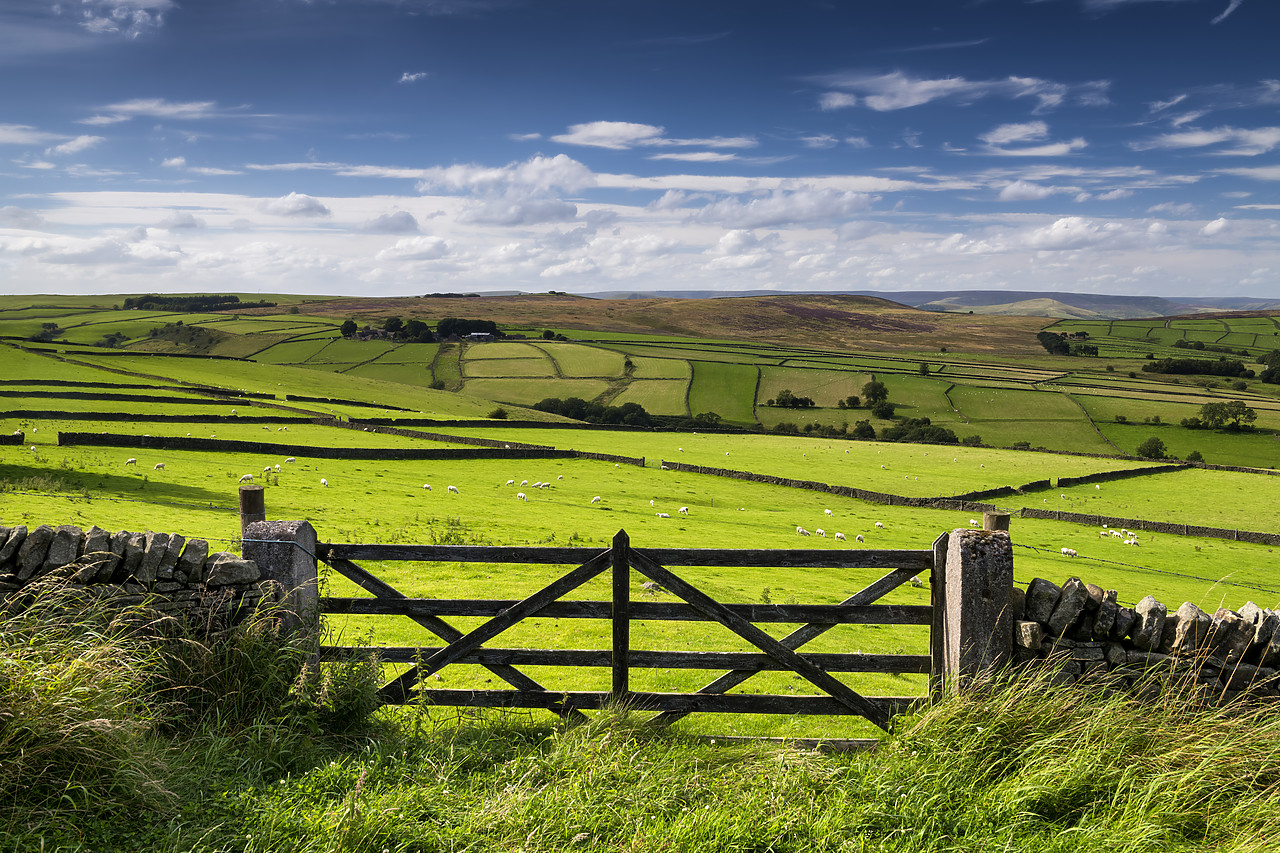 #400196-1 - Gate & Farmland, Peak District National Park, Derbyshire, England