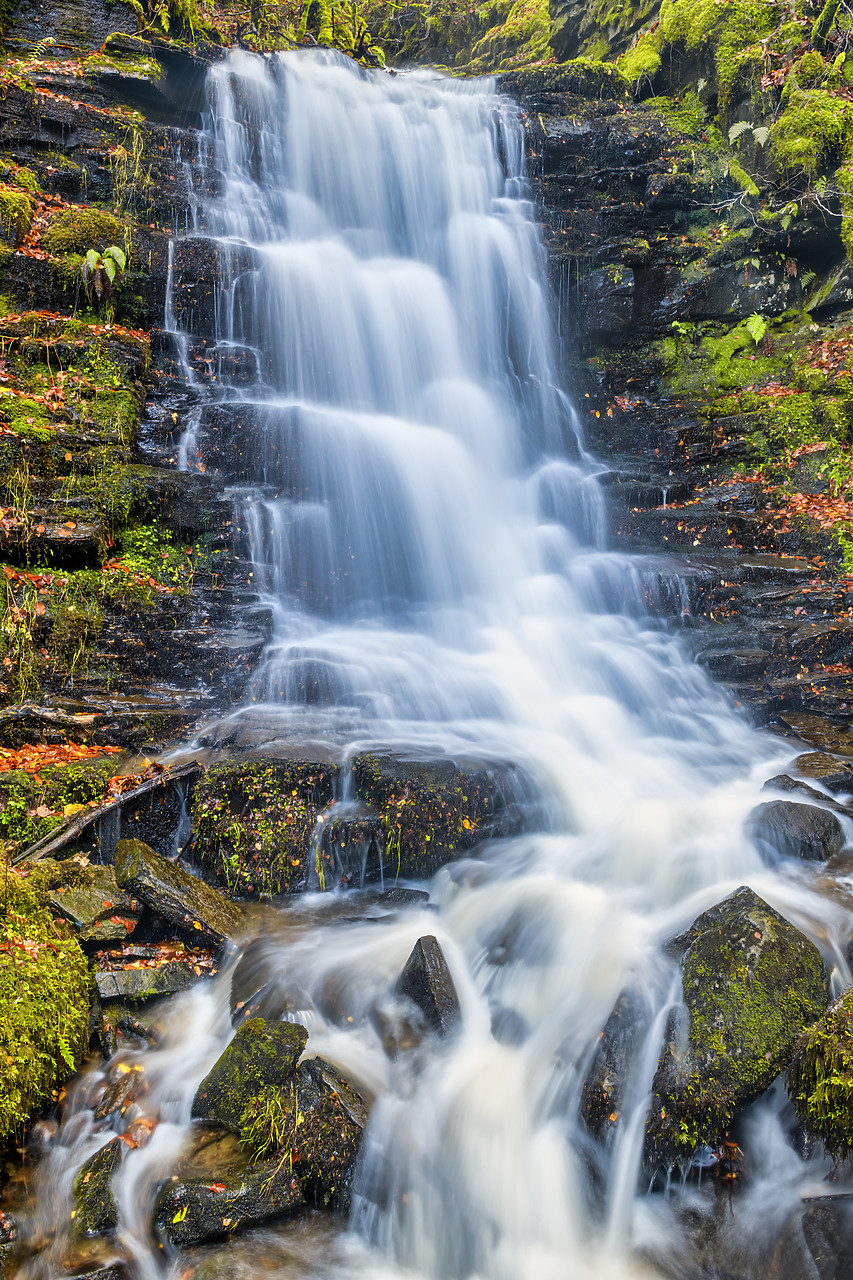 #400254-1 - Cascading Waterfall in Autumn, Birks of Aberfeldy, Perth & Kinross, Scotland