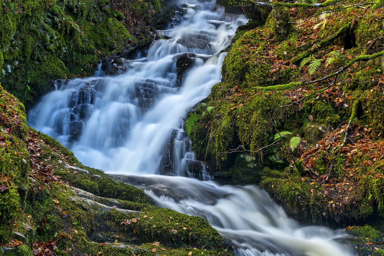 #400255-1 - Cascading Waterfall in Autumn, Birks of Aberfeldy, Perth & Kinross, Scotland