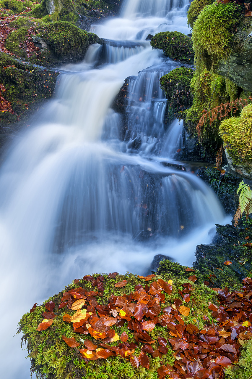 #400256-1 - Cascading Waterfall in Autumn, Birks of Aberfeldy, Perth & Kinross, Scotland