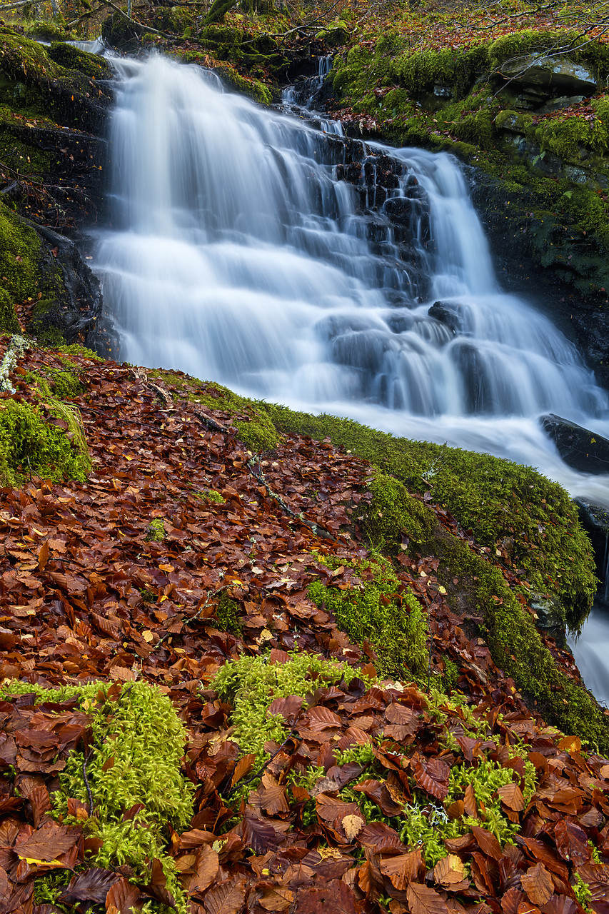 #400257-1 - Cascading Waterfall in Autumn, Birks of Aberfeldy, Perth & Kinross, Scotland