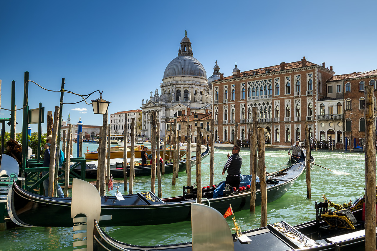 #400302-1 - Gondolas & Salute, Venice, Italy