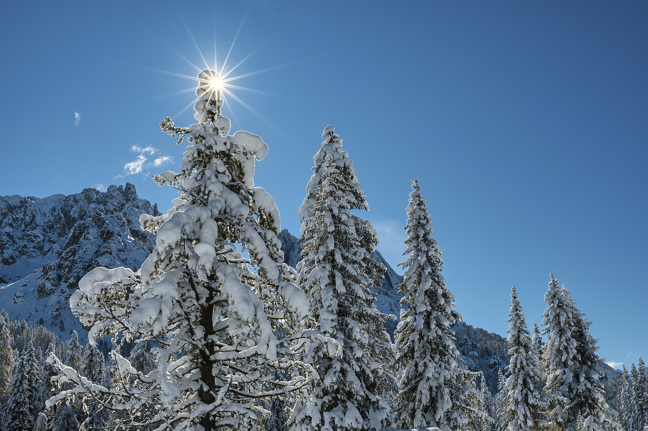 #400368-1 - Sunburst on Snow-covered Pine Trees, Belluno Province, Veneto, Dolomites, Italy